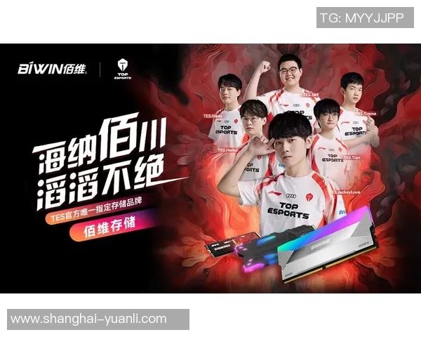 电竞比分深度解析TES中路战术突破与团队协作策略